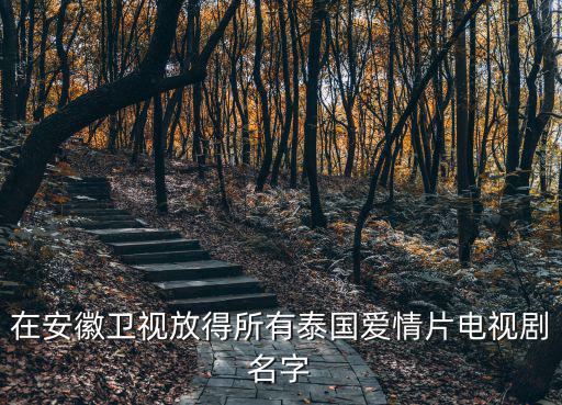 在安徽衛視放得所有泰國愛情片電視劇名字