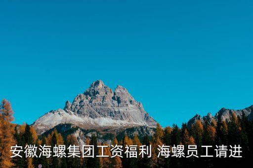 安徽海螺集團工資福利 海螺員工請進