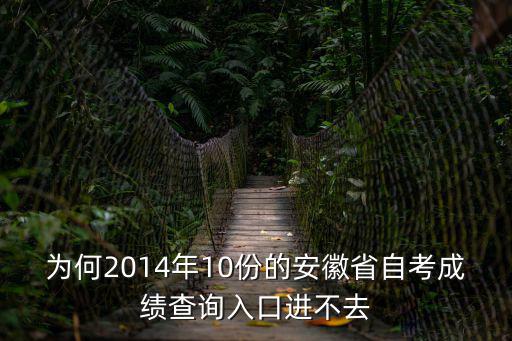 為何2014年10份的安徽省自考成績查詢入口進不去