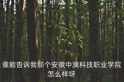 誰能告訴我那個安徽中澳科技職業學院怎么樣呀