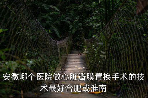 安徽哪個醫(yī)院做心臟瓣膜置換手術(shù)的技術(shù)最好合肥或淮南