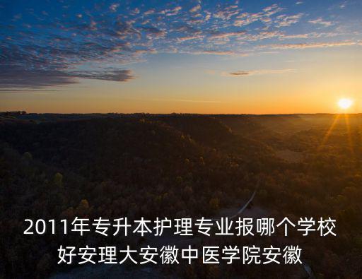 2011年專升本護(hù)理專業(yè)報(bào)哪個(gè)學(xué)校好安理大安徽中醫(yī)學(xué)院安徽
