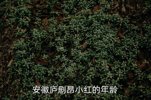 安徽廬劇，廬劇最有名的戲曲名叫什么啊