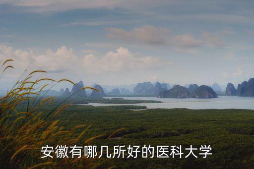 安徽有哪幾所好的醫科大學