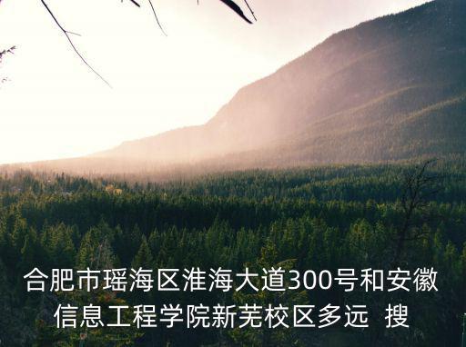 合肥市瑤海區淮海大道300號和安徽信息工程學院新蕪校區多遠  搜