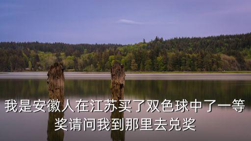 我是安徽人在江蘇買了雙色球中了一等獎請問我到那里去兌獎