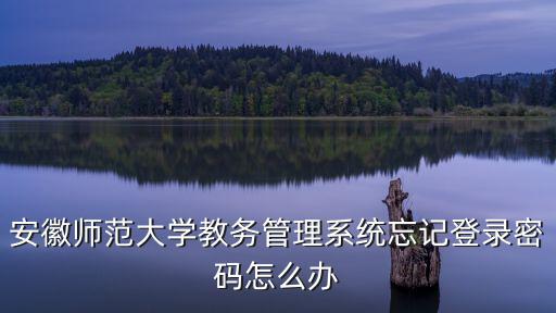 安徽師范大學(xué)教務(wù)系統(tǒng)，安徽師范大學(xué)對外漢語