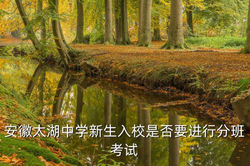 安徽太湖中學新生入校是否要進行分班考試
