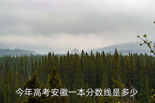 今年高考安徽一本分?jǐn)?shù)線是多少