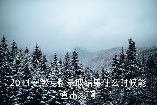 安徽考試院，2011安徽專科錄取結果什么時候能查出來啊