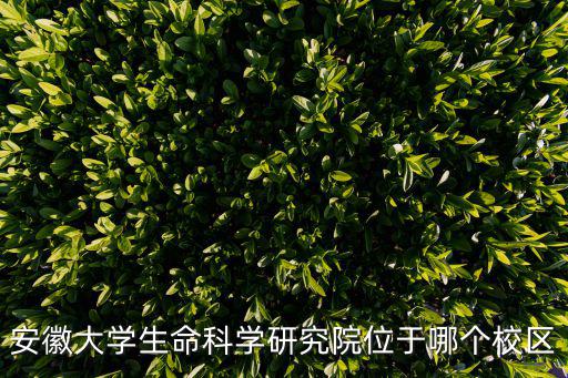 安徽大學生命科學研究院位于哪個校區