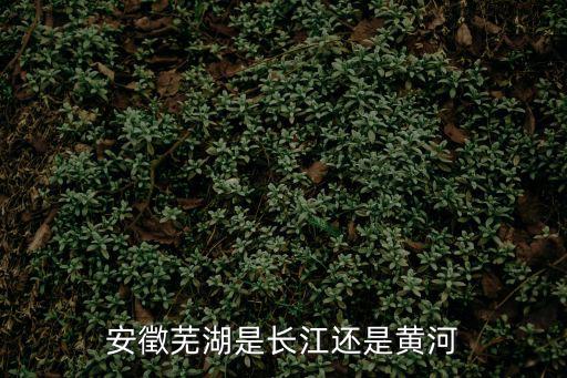 安徽蕪湖，蕪湖是那里