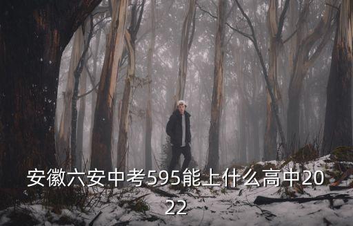 安徽六安中考595能上什么高中2022