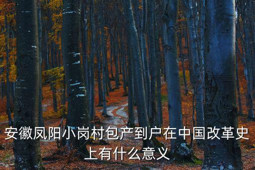 安徽鳳陽(yáng)小崗村包產(chǎn)到戶在中國(guó)改革史上有什么意義