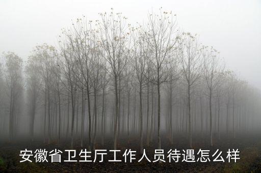 安徽省衛(wèi)生廳工作人員待遇怎么樣