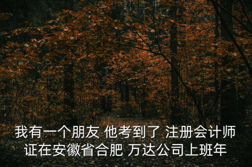 我有一個朋友 他考到了 注冊會計師證在安徽省合肥 萬達公司上班年