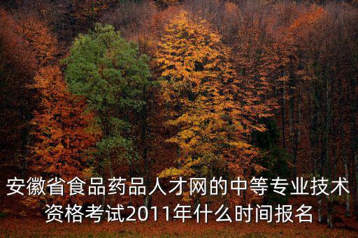 安徽省食品藥品人才網(wǎng)的中等專業(yè)技術(shù)資格考試2011年什么時間報名