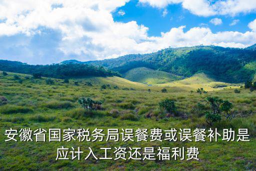 安徽省國家稅務局誤餐費或誤餐補助是應計入工資還是福利費