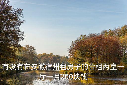 有沒有在安徽宿州租房子的合租兩室一廳一月200塊錢