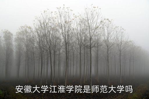 安徽大學(xué)江淮學(xué)院是師范大學(xué)嗎