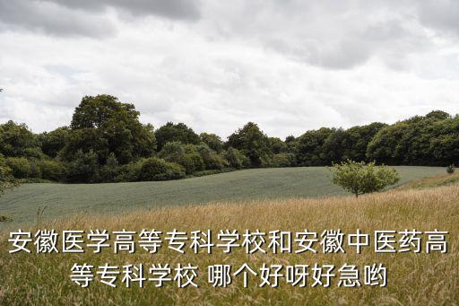 安徽醫(yī)學(xué)高等專科學(xué)校和安徽中醫(yī)藥高等專科學(xué)校 哪個好呀好急喲
