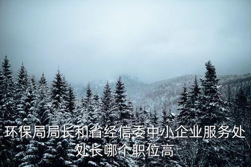 環(huán)保局局長和省經(jīng)信委中小企業(yè)服務(wù)處處長哪個職位高