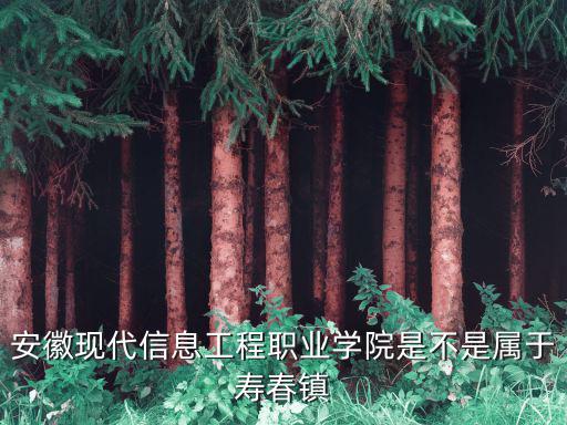 安徽現代信息工程職業學院是不是屬于壽春鎮