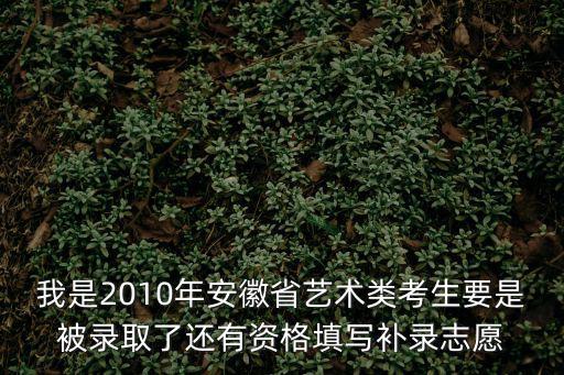 我是2010年安徽省藝術(shù)類考生要是被錄取了還有資格填寫補(bǔ)錄志愿