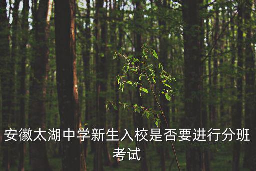 安徽太湖中學，安徽太湖中學新生入校是否要進行分班考試
