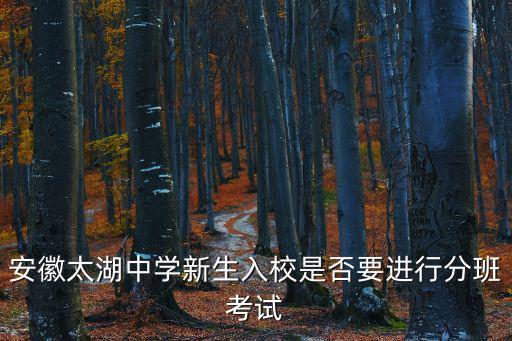 安徽太湖中學新生入校是否要進行分班考試