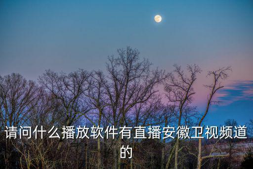 請(qǐng)問什么播放軟件有直播安徽衛(wèi)視頻道的