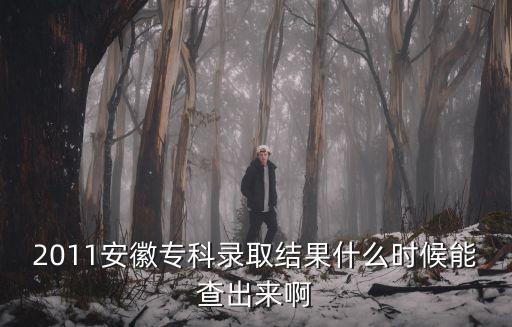 2011安徽專科錄取結果什么時候能查出來啊