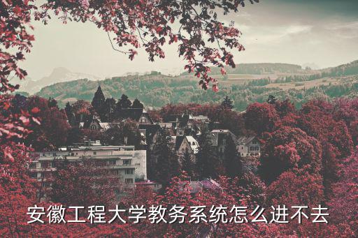 安徽工程大學(xué)教務(wù)系統(tǒng)怎么進不去