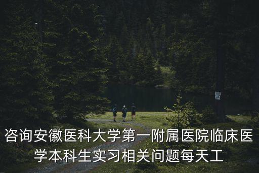 咨詢安徽醫(yī)科大學(xué)第一附屬醫(yī)院臨床醫(yī)學(xué)本科生實(shí)習(xí)相關(guān)問題每天工