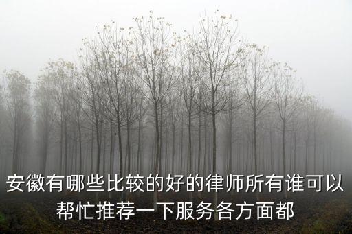 安徽有哪些比較的好的律師所有誰可以幫忙推薦一下服務(wù)各方面都
