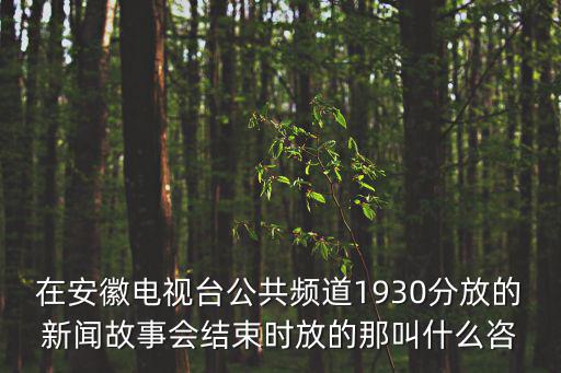 在安徽電視臺公共頻道1930分放的新聞故事會結束時放的那叫什么咨