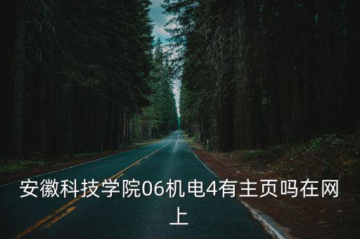 安徽科技學院06機電4有主頁嗎在網上