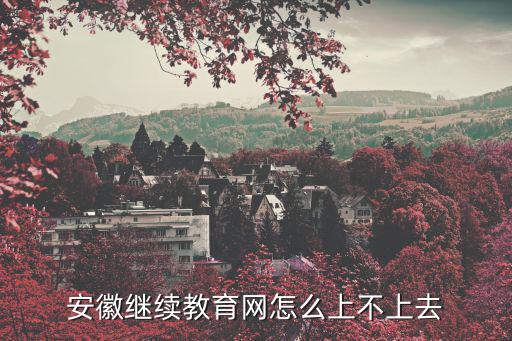 安徽繼續教育網怎么上不上去