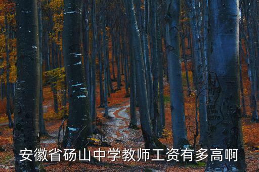 安徽省碭山中學教師工資有多高啊