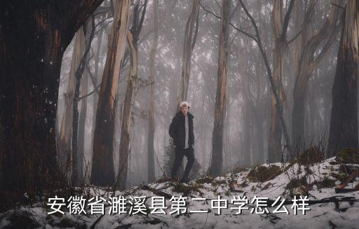安徽省濉溪縣第二中學怎么樣