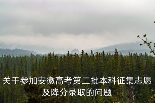 關于參加安徽高考第二批本科征集志愿及降分錄取的問題