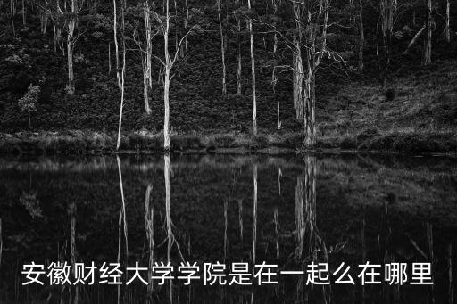安徽財經(jīng)大學(xué)學(xué)院是在一起么在哪里