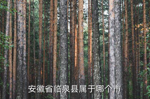 安徽省臨泉縣，臨泉縣在安徽的什么地方