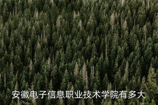 安徽電子信息職業技術學院有多大