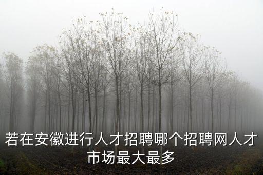 若在安徽進行人才招聘哪個招聘網人才市場最大最多