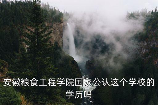 安徽糧食工程學院國家公認這個學校的學歷嗎