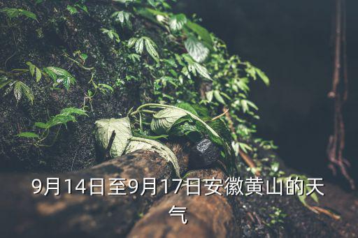 安徽黃山天氣預報，這周末打算去黃山但是看天氣預報黃山周末有雨適不適合去黃山玩
