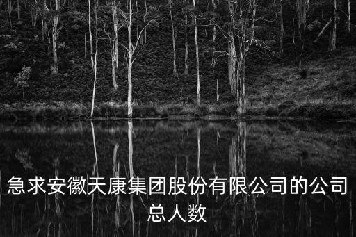 急求安徽天康集團(tuán)股份有限公司的公司總?cè)藬?shù)