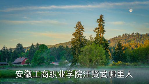 安徽工商職業學院汪賢武哪里人