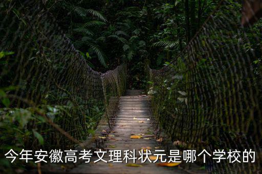 安徽省高考狀元，今年安徽高考文理科狀元是哪個學校的
